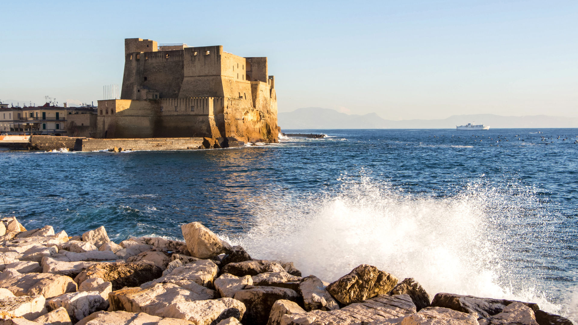 travel agency 23-800