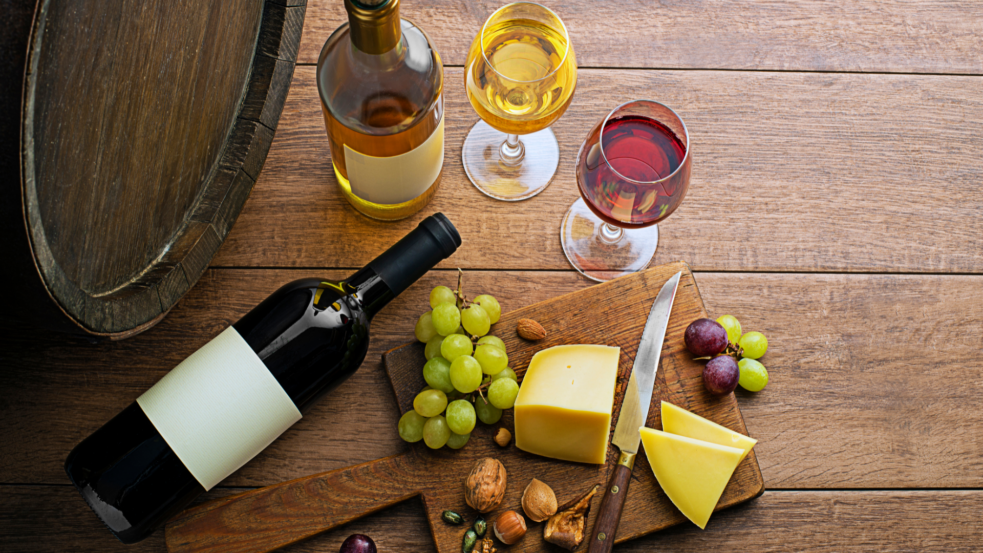 travel agency 23-800